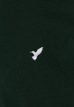 Pier One 5 Pack - T-Shirt Basic - White/Ark Green/Blue -mode 19822f95d4c243b5a7cfa8d503e23581