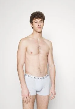 Pier One 5 Pack - Onderbroeken - Black/White/Light Blue -mode 5879892395ef4271a7b0369235c549f0