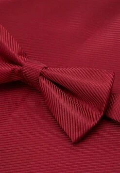 Pier One Set - Stropdas - Bordeaux -mode 78c94279a24a403593e284544b5065b2